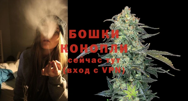 дурь Нягань